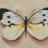 White Butterfly Diamond Painting