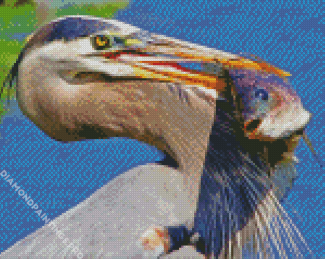 Aesthetic Heron With Fish Diamond Painting