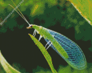 Aesthetic Lacewing Insect Diamond Painting