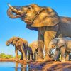 African Elephants In Water Diamond Painting