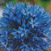 Blue Allium Flower Diamond Painting