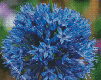 Blue Allium Flower Diamond Painting