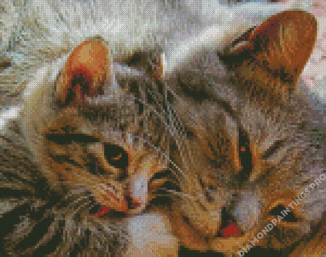 Cat And Kitten Cuddling Diamond Painting