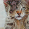 Cute Cat With Claw Diamond Painting