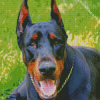 Dobermann Dog Diamond Painting