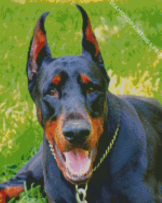 Dobermann Dog Diamond Painting