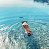 Dog Swimming In Flathead Lake Diamond Painting