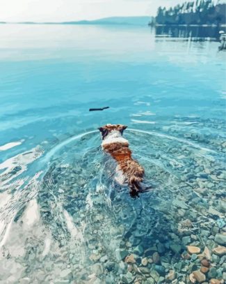 Dog Swimming In Flathead Lake Diamond Painting