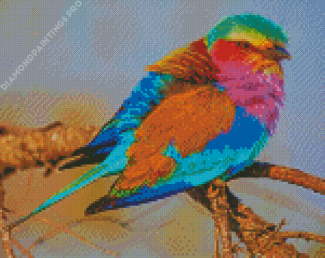 Lilac Breasted Roller Bird Diamond Painting