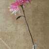 Pink And White Flower In Bottle Diamond Painting