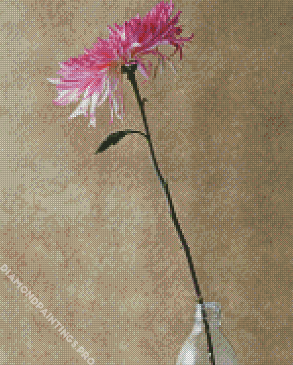 Pink And White Flower In Bottle Diamond Painting
