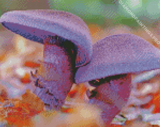 Two Purple Mushroom Diamond Painting