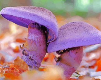 Two Purple Mushroom Diamond Painting