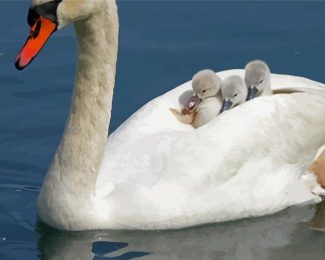 White Swans In Water Diamond Painting