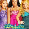 Cheetah Girls Poster Diamond Painting