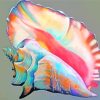 Colorful Conch Shell Diamond Painting