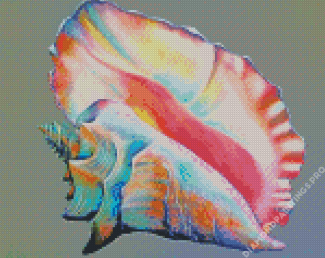 Colorful Conch Shell Diamond Painting