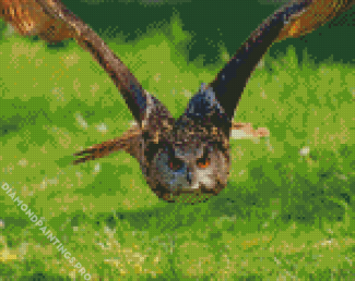 Flying Owl Diamond Painting