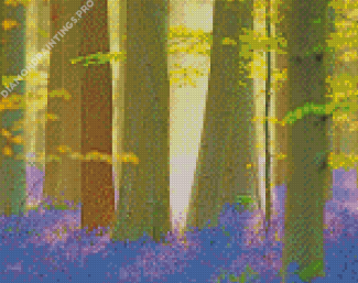Forest With Bluebells Diamond Painting