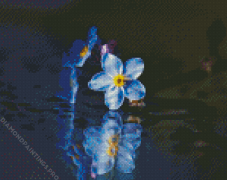 Forget Me Nots Flowers Reflection Diamond Painting