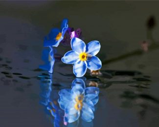 Forget Me Nots Flowers Reflection Diamond Painting