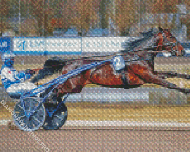 Harness Racing Diamond Painting