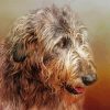 Irish Wolfhound Head Diamond Painting