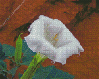 Moon Lily Flower Diamond Painting