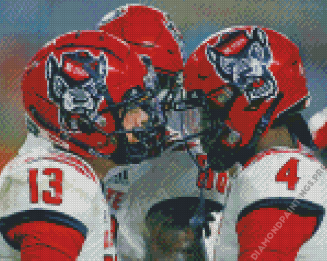 NC State Wolfpack Players Diamond Painting