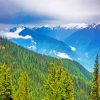 Olympic National Forest Landscape Diamond Painting