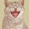 Smile Cat Diamond Painting