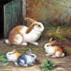 The Four Rabbits Diamond Painting