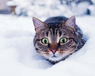 Winter Cat Diamond Painting