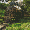 Aesthetic Forest Train Diamond Painting