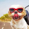 Aesthetic Puppy With Sunglasses Diamond Painting