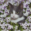Aesthetic Tuxewdo Cat Flowers Diamond Painting