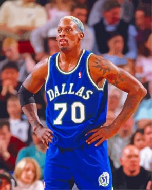 Chicago Bulls Dennis Rodman Diamond Painting