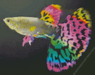Colorful Guppy Fish Diamond Painting