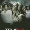True Blood Movie Poster Diamond Painting