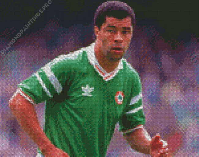 The Footballer Paul Mcgrath Diamond Painting