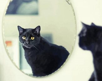 Mirror Cat Reflection Diamond Painting