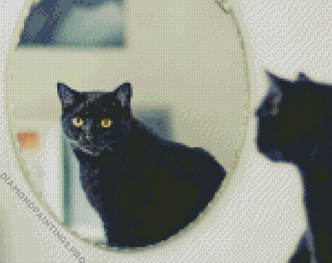 Mirror Cat Reflection Diamond Painting