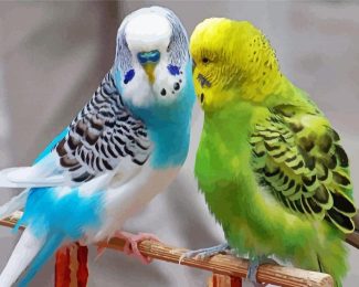 Parakeets Diamond Painting