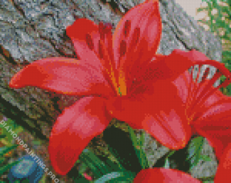 Red Lily Flower Diamond Painting