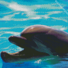Smiling Dolphin Diamond Painting