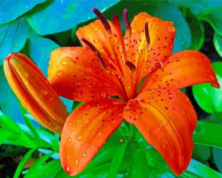 Tiger Lilies With Water Drops Diamond Painting