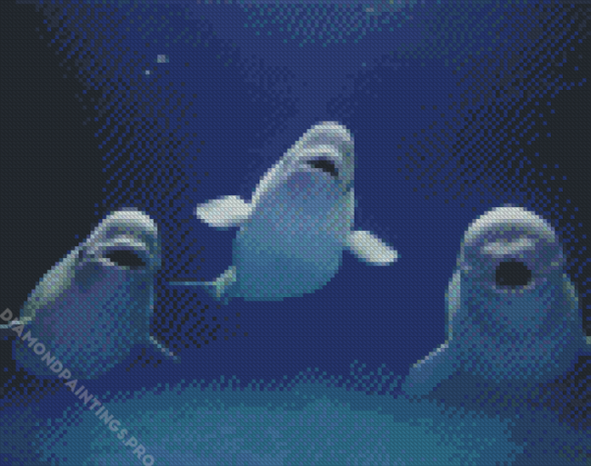 Beluga Whales Animals Diamond Painting
