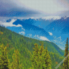 Olympic National Forest Landscape Diamond Painting