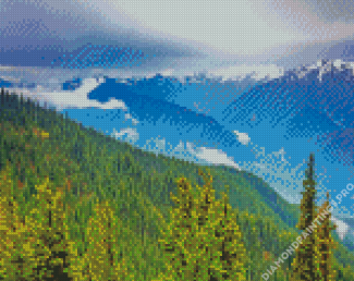 Olympic National Forest Landscape Diamond Painting
