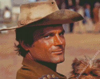 Actor Terence Hill Diamond Painting